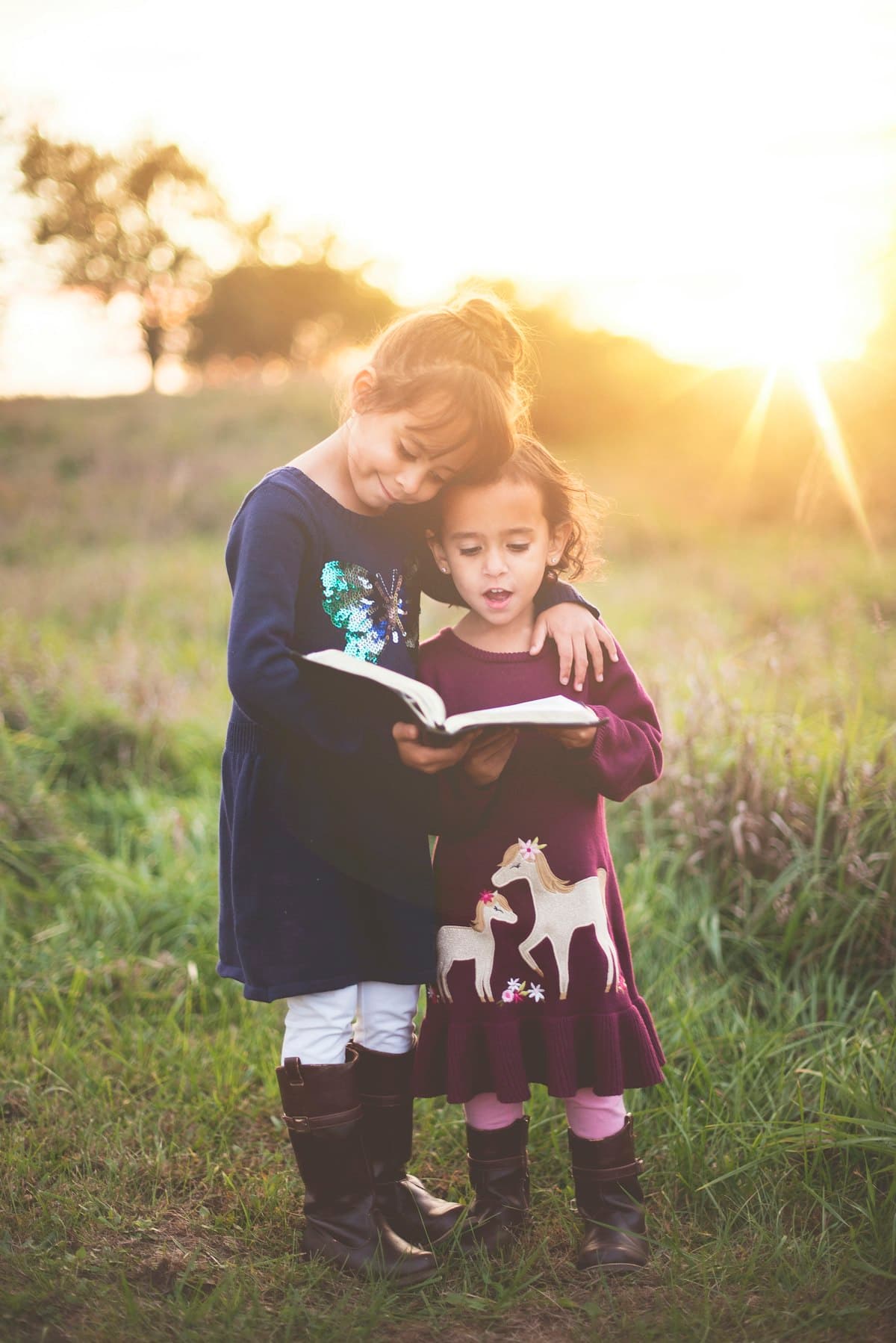 Moving to Shorewood, MN — 276 Schools, More Yard